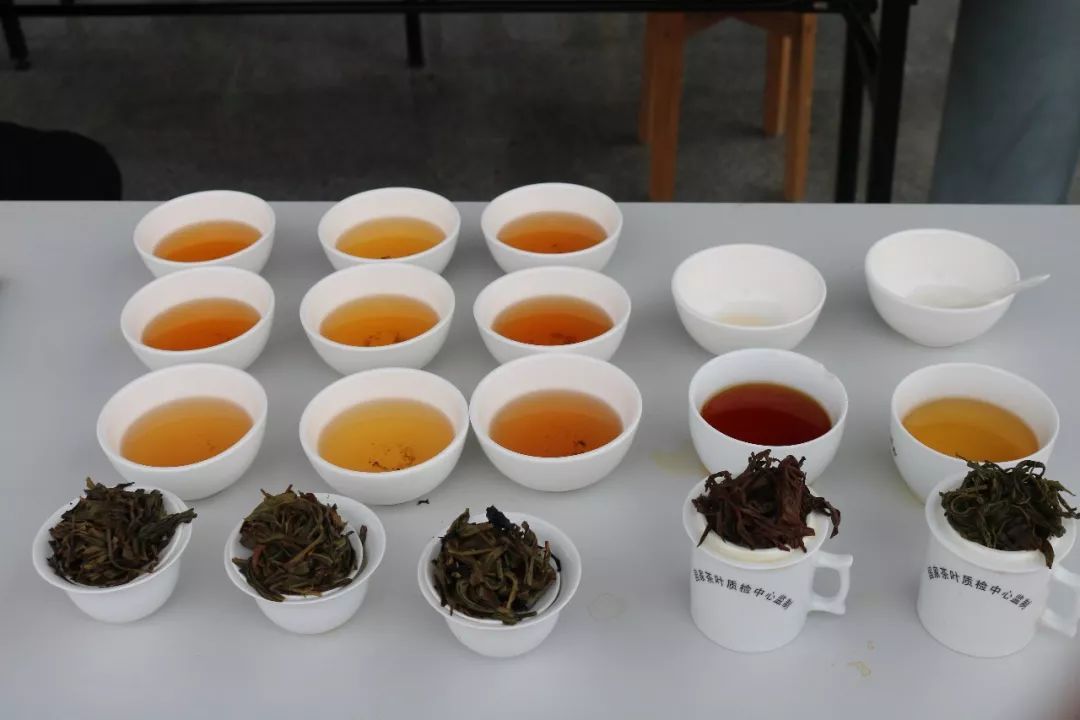 首屆廣東省評(píng)茶員技能大賽圓滿(mǎn)落幕，東方國(guó)際茶都飄香引才